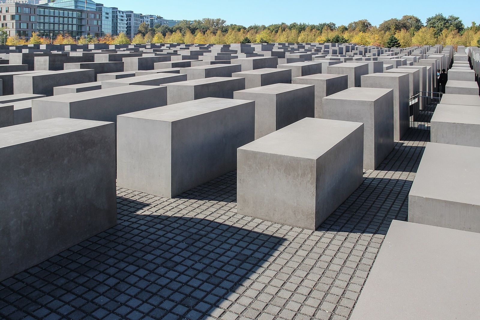 Die grauen Betonstelen des Denkmals für die ermordeten Juden Europas in unterschiedlichen Höhen, dahinter Bäume im Herbstlaub